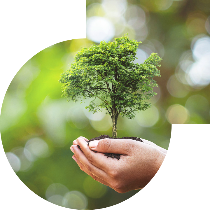 关怀人类、文化、环境与社会